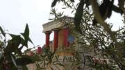 The palace of Knossos, as seen from behind the olive trees that cover the surrounding area. The palace of Knossos was built 3,500 years ago, on the island of Crete. A large part of it was destroyed, due to earthquakes and fires. What remains stands tall to remind us of the greatness of the human mind. In the surrounding area there were and are olive trees. They are standing too. But for how much longer? How can the same being, who once built the palace of Knossos, now be responsible for the climate crisis, which threatens one of the oldest trees in the Mediterranean?