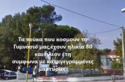 Τα πεύκα του Γυμνασίου Κοίμησης Τα πεύκα του Γυμνασίου Κοίμησης