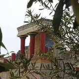 The palace of Knossos was built 3,500 years ago, on the island of Crete. A large part of it was destroyed, due to earthquakes and fires. What remains stands tall to remind us of the greatness of the human mind. In the surrounding area there were and are olive trees. They are standing too. But for how much longer? How can the same being, who once built the palace of Knossos, now be responsible for the climate crisis, which threatens one of the oldest trees in the Mediterranean?