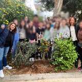 ΔΕΝΤΡΟ ΚΟΥΜΚΟΥΑΤ 2