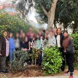 ΔΕΝΤΡΟ ΚΟΥΜΚΟΥΑΤ 3